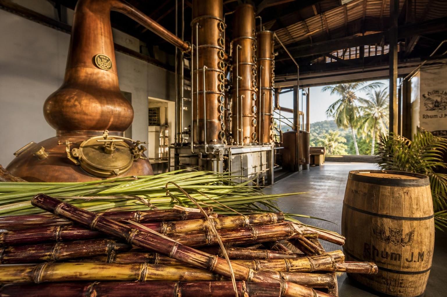 découvrez les principaux pays producteurs de rhum à travers le monde et explorez leurs spécialités incontournables pour les amateurs de cette boisson emblématique.