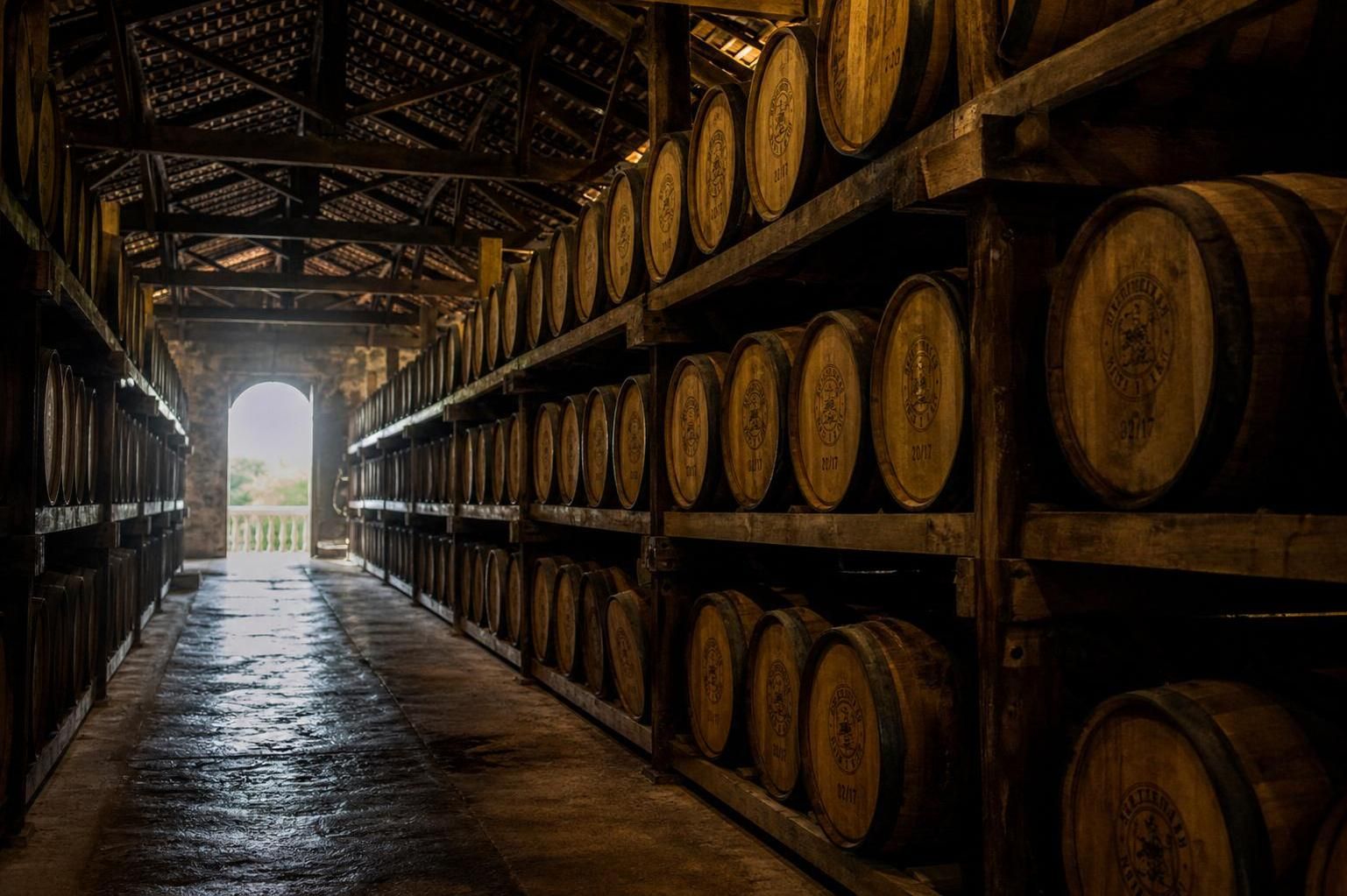 découvrez les différences de fabrication entre le rhum agricole et le rhum traditionnel, deux styles de rhum aux méthodes de production distinctes et aux saveurs uniques.